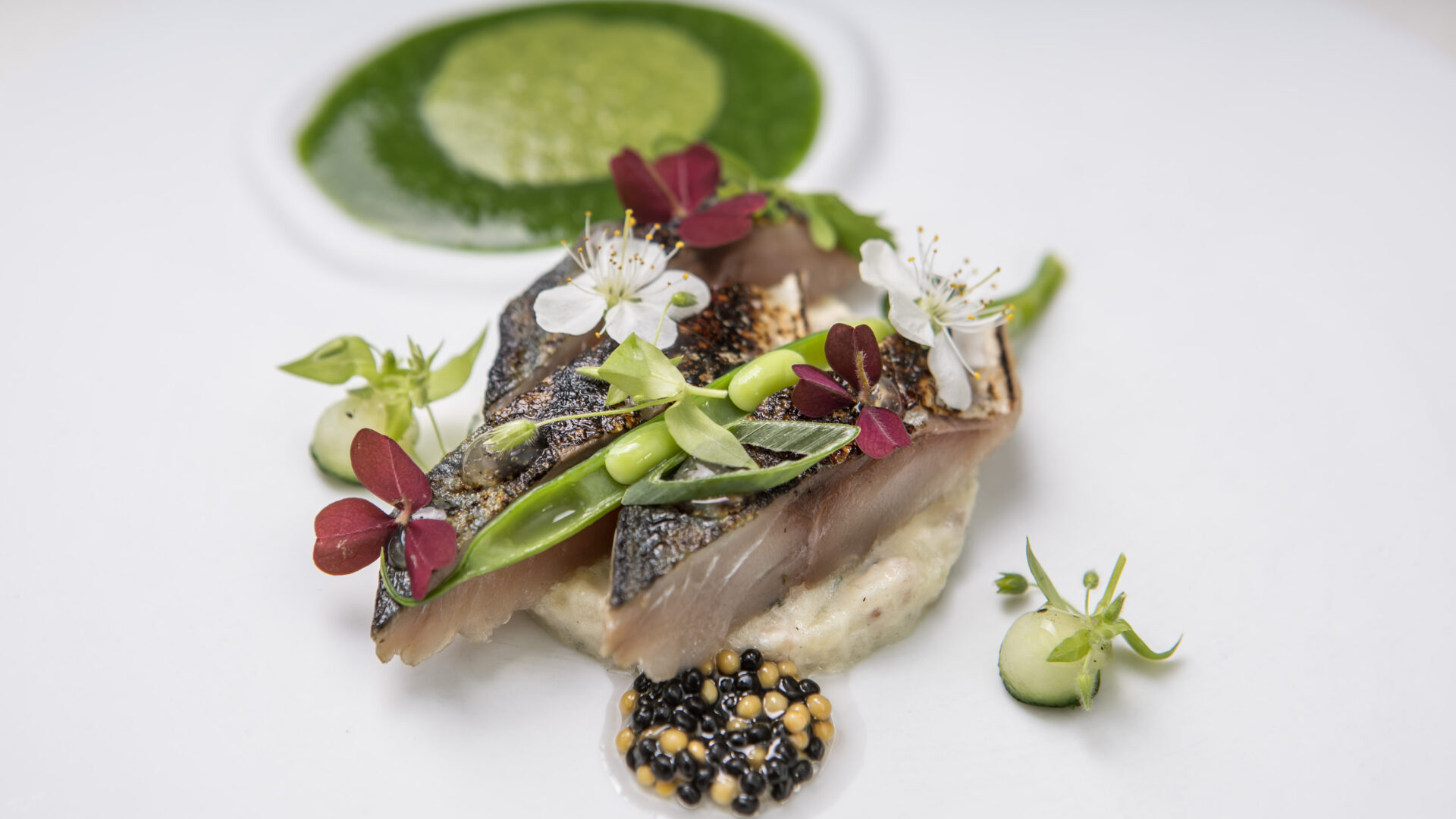cuisine gastronomique nimes