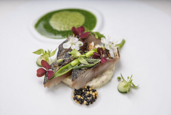 cuisine gastronomique nimes