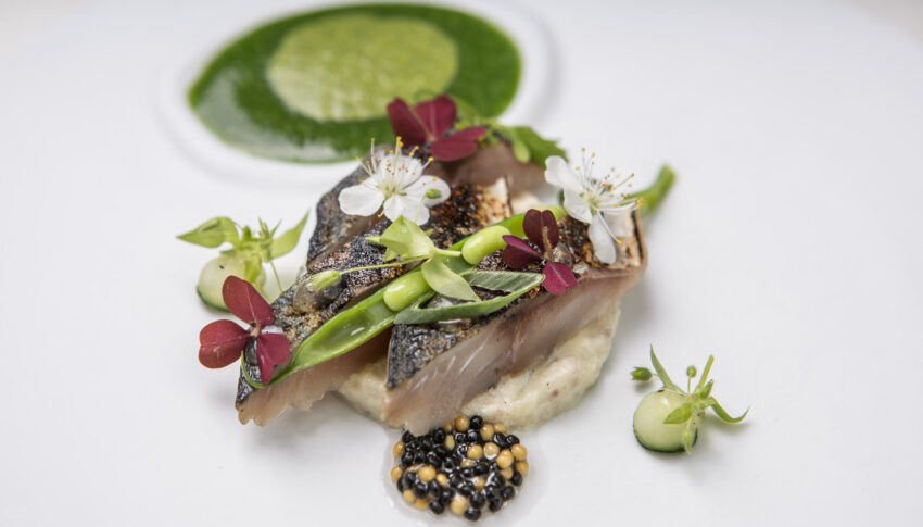 cuisine gastronomique nimes