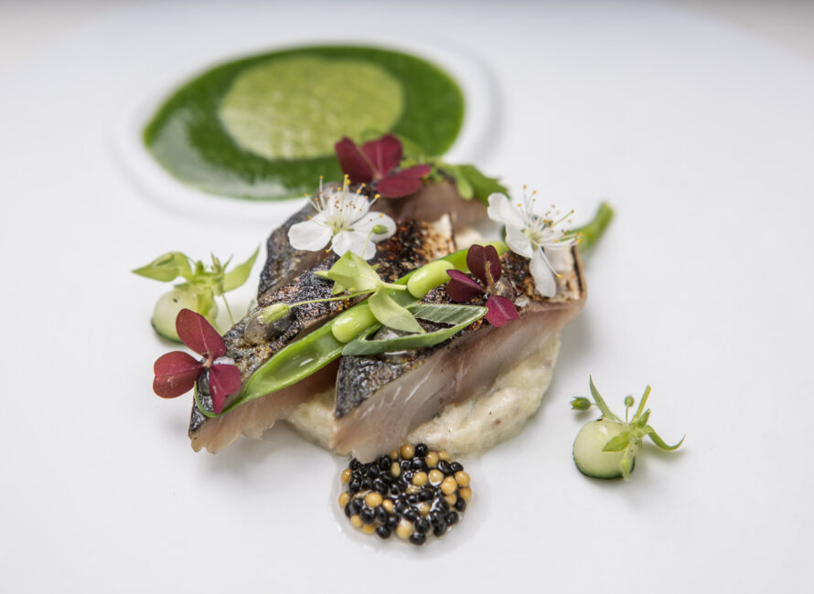 cuisine gastronomique nimes