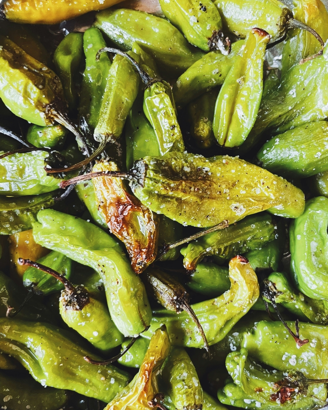 Pimientos de Padron Restaurant Nimes Centre, La Pie Qui Couette